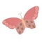 Fancy little colorful butterfly in simple flat style vector illustration