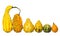 Fancy pumpkin collection isolated. Unusually shaped squashes