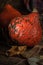 Fancy pumpkins on wooden background, autumn still life