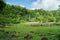 Fang Hot Spring in Chiang Mai, Thailand