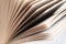 Fanned book pages closeup