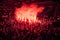 Fans burn red flares at rock concert. Cheering crowd at concert. Fire show.