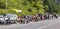 Fans on the Roads of Le Tour de France
