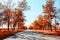 Fantastic autumn landscape with provincial road