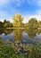 Fantastic autumn landscape with yellow trees near the pond (rest, relaxation, anti-stress - concept)