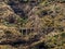 Fantastic Barranco with old bridge and goat path