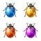 Fantastic beetles