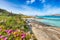 Fantastic blooming flowers on Famous La Pelosa beach with Torre della Pelosa