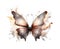 Fantastic Butterfly close-up on white background, top view, realistic illustration, generative ai