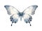 Fantastic Butterfly close-up on white background, top view, realistic illustration, generative ai