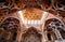 Fantastic ceiling and patterns in music instruments shapes in palace of Middle East