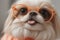 Fantastic close-up photo of a cute funny Japanese Chin in orange sunglasses on a light background