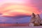 Fantastic colors over Mono Lake with lenticular clouds