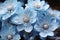 The fantastic dance of water drops on blue apple flowers, a silent symphony of nature's elegance