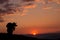 Fantastic detail in nature. A silhouette of a photographer and a beautiful sunset and clouds in the background.