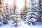 Fantastic Fairytale Magical Landscape View Christmas Tree