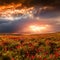 Fantastic foggy sunset at the poppies meadow. majestic rural landscape