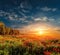 Fantastic foggy sunset at the poppies meadow. majestic rural landscape