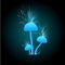 Fantastic glowing light blue mushrooms. Games icon with fluffy mushrooms on a dark background. Mushrooms with piece of fluff.