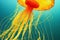 Fantastic golden yellow jellyfish in sea water. Illuminated aquatic undersea creature with majestic flow swimming in