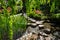 Fantastic japanese garden with stream, blossoming rhododendron bushes and stone footpath