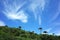 Fantastic light clouds on blue sky above araucaria forest on mountainside of Villarrica volcano