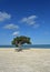 Fantastic Look at Divi Tree on a Pretty Sand Beach