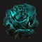 fantastic lovely turquoise rose isolated on black background, unusual flower