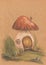 Fantastic mushroom old house