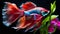 fantastic neon fish with flower tail and fins. Colorful floral fighting betta fish isolated on black