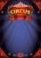 Fantastic night circus poster