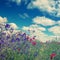 Fantastic picturesque landscape. perfect sky with clouds over the colorful meadow with meny color flowers.