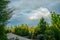 Fantastic  rainbow and coniferous tree in nursery in Moscow oblast