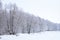 Fantastic scenic landscape on the shore of a snowy lake landscape Park tree branches in ice. Frozen pond pond field. Cloudy