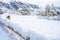 Fantastic snow road landscape in winter at french Alps. Asphalt road with sideways full of snow. Soft focus. Double