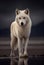 Fantastic specimen of the fierce White Wolf. Generative AI.