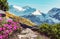 Fantastic spring Mountains landscape. Sunny summer day in mountains valley with rhododendron flowers on the foreground. Wonreful