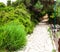 Fantastic Stone path with classy side fences surrounded by wonderful green bushes under a astonishing bright blue sky without clou