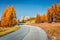 Fantastic sunny view of Dolomite Alps with yellow larch trees. Colorful autumn scene in mountains. Giau pass location, Italy, Euro