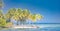 Fantastic tropical beach banner. Exotic landscape background concept. Palms on island tropical landscape