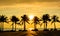 Fantastic tropical beach with palms at sunset