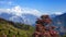 Fantastic view of Dhaulagiri peak (8167 m) with spring blossom