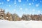 Fantastic winter forest in snow with falling snowflakes. Christmas tale. Background of Christmas and new year
