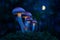 Fantastic world of mushrooms. Glowing mushrooms in the night for