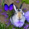 A fantastical combination of a rabbit and a butterfly, with fluffy fur and delicate, iridescent wings3, Generative AI