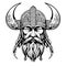 Fantastical lovely vector art viking emblem symbol