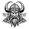 Fantastical lovely viking emblem vector logo art