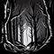 Fantasy black and white dark forest. Vector illustration