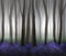 Fantasy Bluebell Wood Illustration, with mist and silhouetted trees