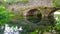 Fantasy bridge 4k stone arched reflection kingdom medieval river canal garden